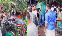 শায়েস্তাগঞ্জে কাভার্ডভ্যান-বাসের সংঘর্ষে বাসচালক নিহত।,